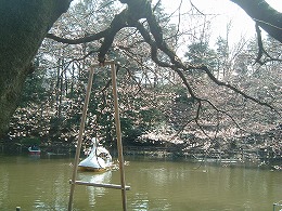 学校の式典とか学祭のイベントとかで