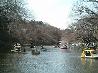 井の頭公園駅側からのアングル